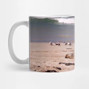 Sea Lions on the Beach Mug